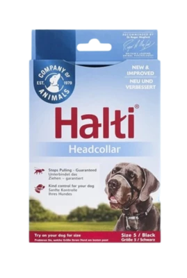 אלטי מידה 5 לאילוף