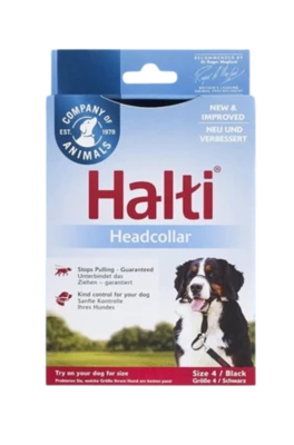 אלטי מידה 4 לאילוף