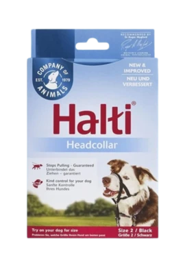 אלטי מידה 2 לאילוף