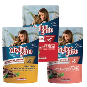 מעדן פאוץ' מיגליאור לחתול 100 גרם - מגוון טעמים